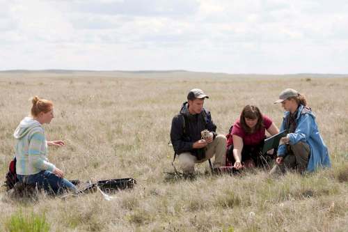 CHRISTOPH NG
Students set up video cameras to capture behaviour of birds in the nest.