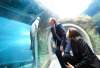 Manitoba PC Leader Brian Pallister's recent encounter with a seal at the Assiniboine Park Zoo was carefully crafted.