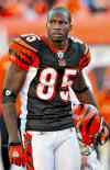 CP
Chad Johnson suiting up for the Alouettes? Ocho-I don�t think so.