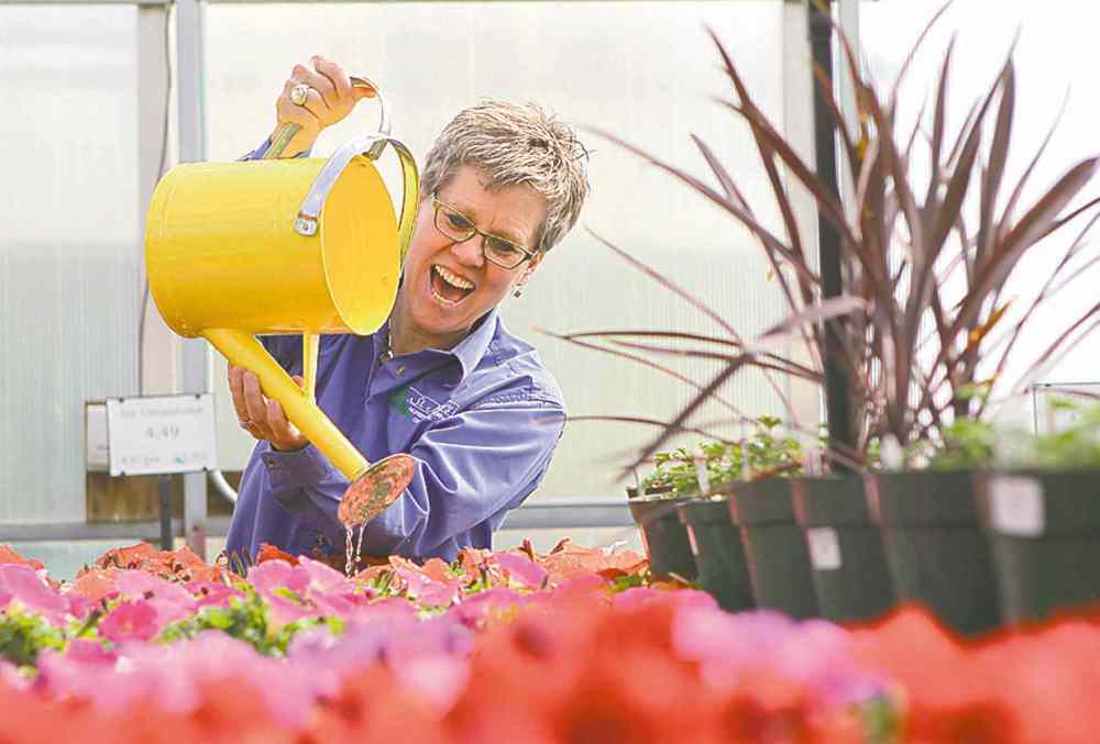 Ruth Bonneville / Winnipeg Free Press
Carla Hrycyna provides the smiles, and the watering, at the St. Mary�s Nursery and Garden Centre.