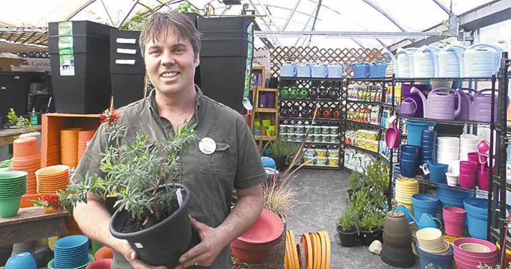 Maureen Scurfield / Winnipeg Free Press
Dave Hanson works on displays at the Sage Garden Greenhouses.