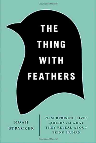 Bird book full of fun, feathery facts