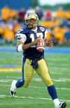 Blue QB numbers, FYI and other stuff