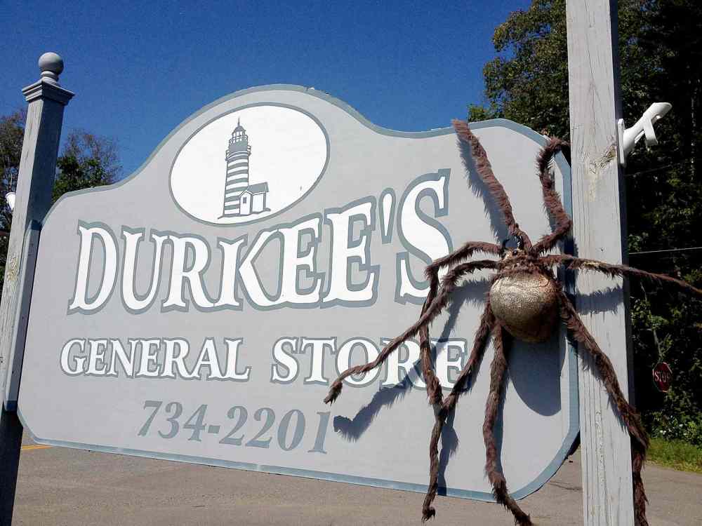 Magnificent Maine Winnipeg Free Press