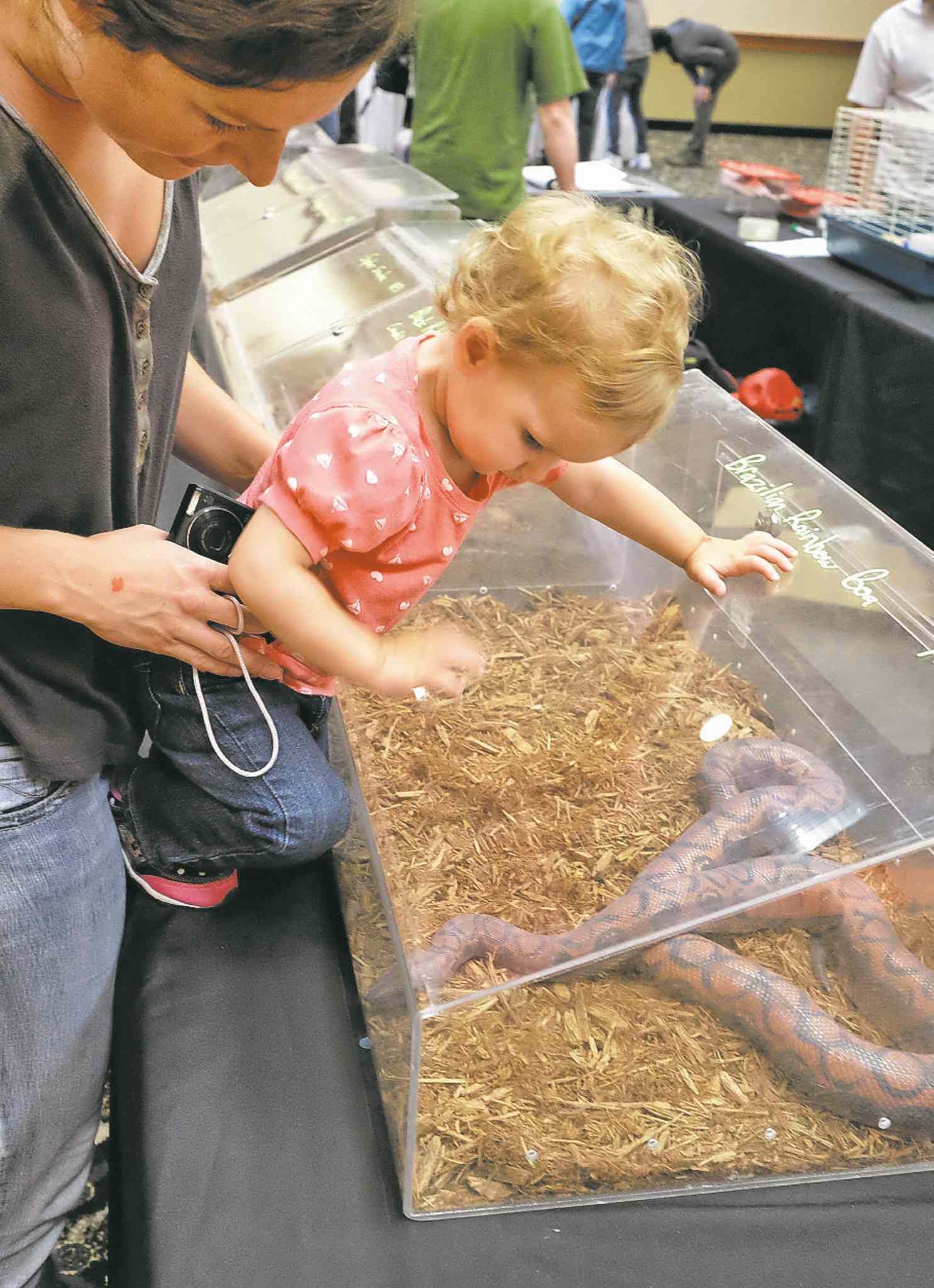 No reptile dysfunction Winnipeg Free Press