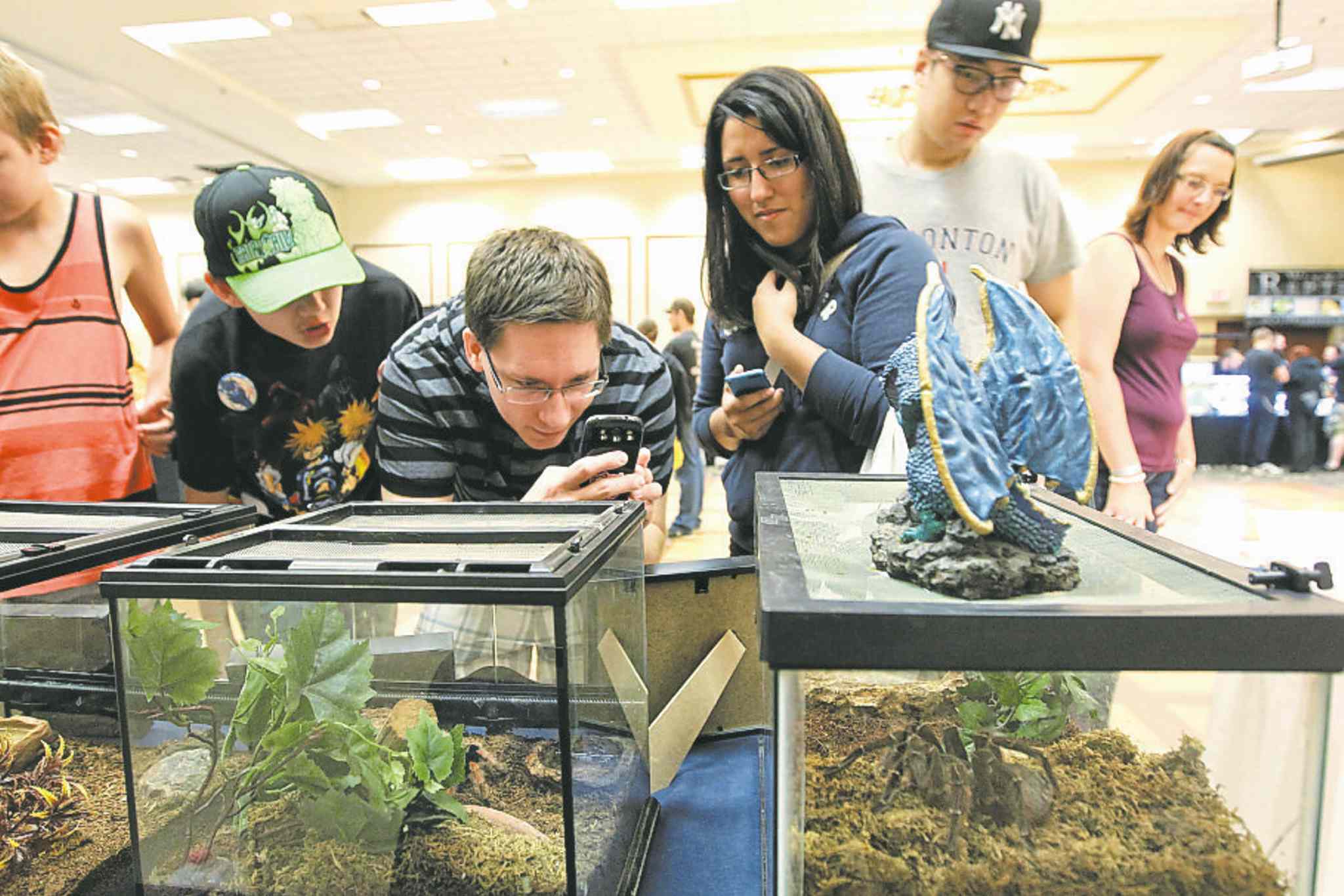 No reptile dysfunction Winnipeg Free Press