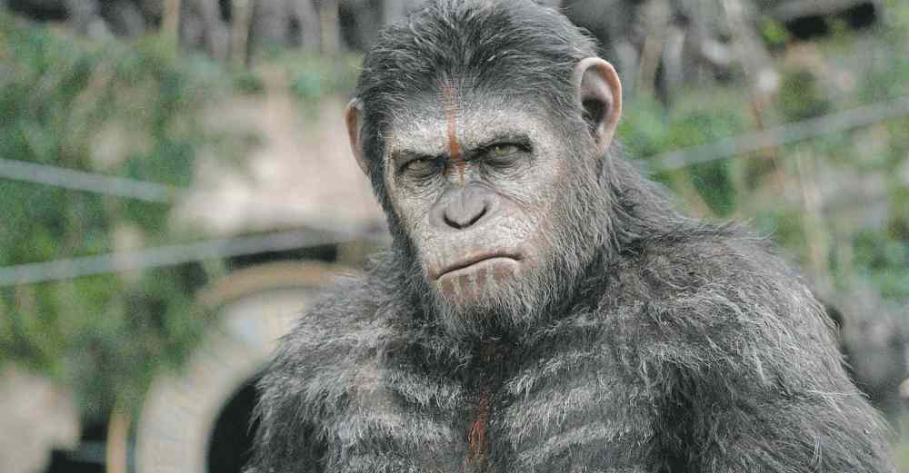 CP
Dawn of the Planet of the Apes