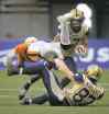 CP
photos by darryl dyck / the canadian press
The B.C. Lions� Dante Marsh (left) collides with Bombers Rory Kohlert as slotback Nick Moore carries the ball in the first half.