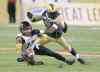 TREVOR HAGAN / WINNIPEG FREE PRESS 
Winnipeg Blue Bombers' Demond Washington is all over Hamilton Tiger-Cats receiver Luke Tasker. The Blue 'D' as a whole did an admirable job Saturday.