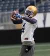 JOE BRYKSA / WINNIPEG FREE PRESS
Winnipeg Blue Bombers wide receiver Darvin Adams at the Winnipeg Blue Bombers mini-camp Wednesday.