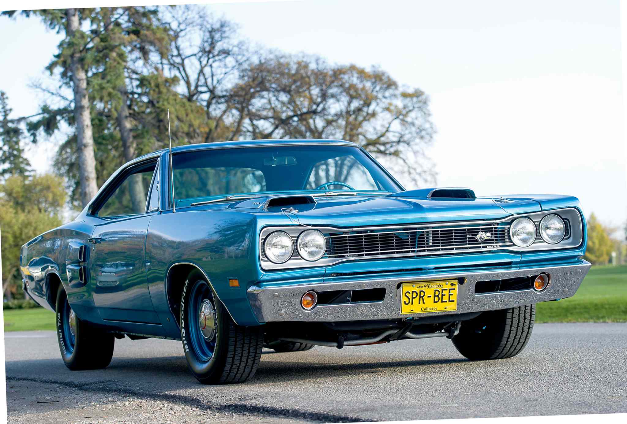 Super-rare SUPER BEE A REAL GEM – Winnipeg Free Press