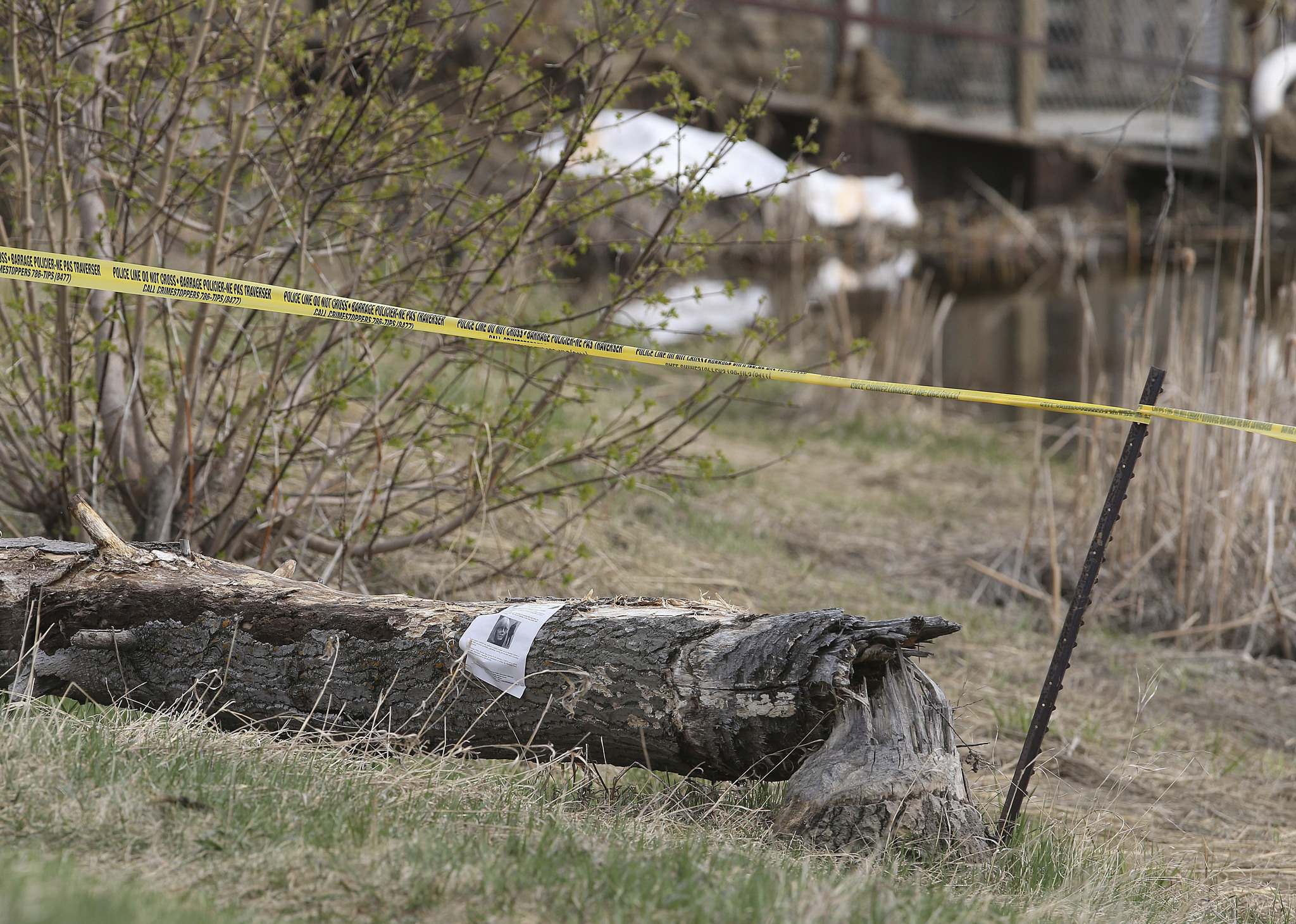 Body found in Sturgeon Creek – Winnipeg Free Press
