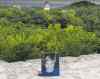 SUBMITTED PHOTO
Relatives of Amy Gilbert placed her photo on top of Mayan ruins in Guatemala.