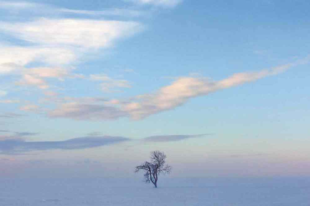 Joe Bryksa / Winnipeg Free Press files
Joe Bryksa took third place in the pictorial category with his winter scene image.