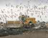 JOE BRYKSA / WINNIPEG FREE PRESS
The Brady recycling depot is being constructed on a 12-acre site south of the current landfill entrance.