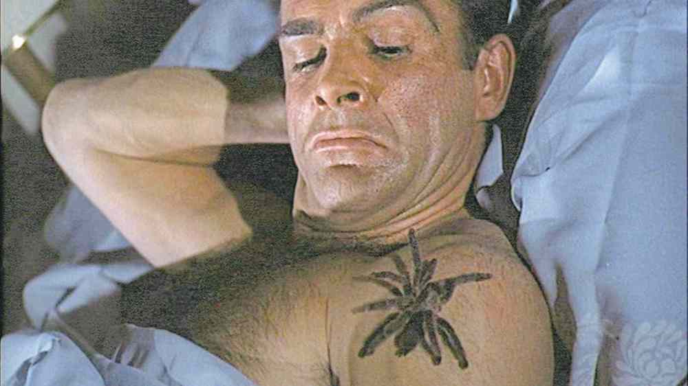 Fortunately, James Bond is licensed to kill � spiders.
