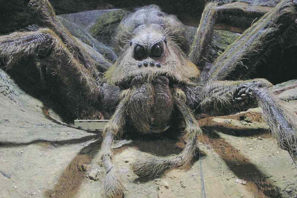 Aragog the Acromantula
