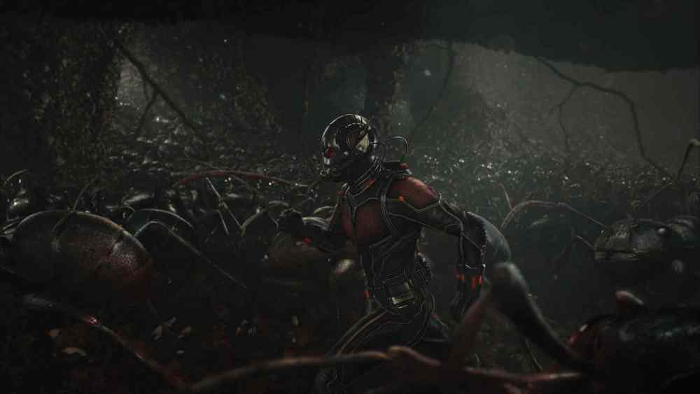 Film Frame
Scott Lang/Ant-Man (Paul Rudd) amongst his ants.