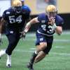 PHIL HOSSACK / WINNIPEG FREE PRESS
Trent Corney (43) leads the charge off the defensive line with Cameron Henderson (54) following at the Blue Bomber rookie camp Wednesday.
