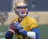 JOE BRYKSA / WINNIPEG FREE PRESS FILES
Coach Mike O'Shea said he expects Winnipeg Blue Bombers quarterback Drew Willy (pictured) “to have a great year.