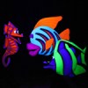A Fish’s Wish