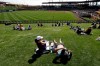 Fans watch the fifth inning of a spring baseball game between the Arizona Diamondbacks and the Oakland Athletics in Scottsdale, Ariz., Monday, Feb. 25, 2019. (AP Photo/Chris Carlson)