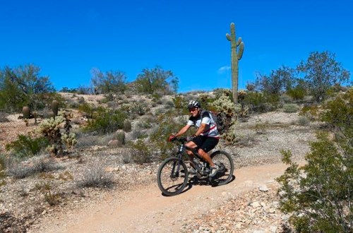 A mountain biker heads south along the Maricopa Trail inside the White Tank Mountain Regional Park Wednesday, Nov. 28, 2018, in Waddell, Ariz. Maricopa County has completed a 315-mile (507-kilometer) hiking and biking trail that circles Phoenix and most of its suburbs. (AP Photo/Ross D. Franklin)
