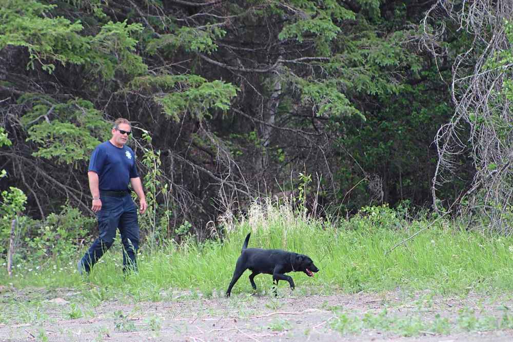 RYAN THORPE / WINNIPEG FREE PRESS FILES
A K-9 unit searches for Eduardo southeast of the town of Arborg more than a week after his disappearance.