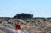 Melissa Tait / Winnipeg Free Press
Bird control officer Roger Rouire stands at the face of a garbage pile at Brady Landfill in this 2014 photograph as a few hundred gulls begin to scatter.
