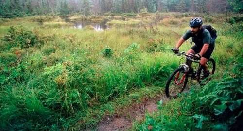 FILE - In this Aug. 26, 1999 file photo, a rider peddles his mountain bike through the White Mountain National Forest in Bartlett, N.H. Mountain bikers will get the chance to see much of New England during the summer of 2019, as a new Borderlands initiative brings together more than a half-dozen trail systems covering 250 miles across more than three states and parts of Canada. (AP Photo/Jim Cole, File)