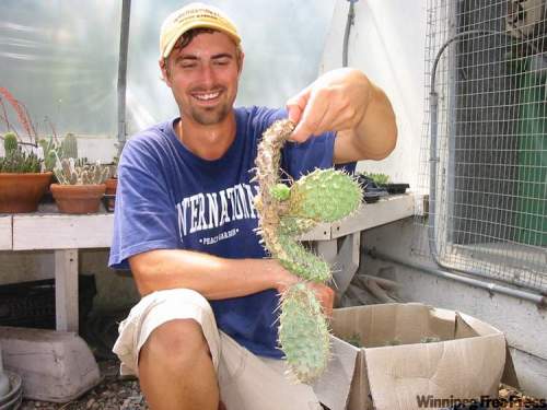 BILL REDEKOP / WINNIPEG FREE PRESS
Johannes Olwage holds up a prickly pear cactus indigenous to Manitoba.
