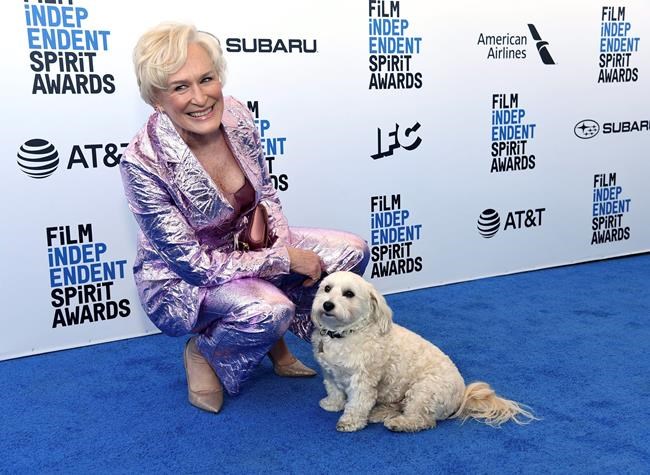 Glenn Close arrives at the 34th Film Independent Spirit Awards on Saturday, Feb. 23, 2019, in Santa Monica, Calif. (Photo by Richard Shotwell/Invision/AP)