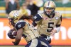 CP
Winnipeg Blue Bombers quarterback Drew Willy (5) hands the ball to Paris Cotton (34) against the Edmonton Eskimos during first half of Saturday's game in Edmonton. Jason Franson / The Canadian Press files