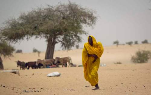 Ben Curtis / The Associated Press archives
A woman takes her baby to be examined for signs of malnutrition at a walk-in feeding centre in Dibinindji, a desert village in the Sahel belt of Chad. The Sahel has experienced rapid population growth and drought.