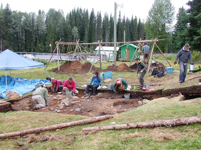 University of Northern British Columbia researchers dig on the shores of Babine River, B.C. in this recent handout photo. THE CANADIAN PRESS/HO, UNBC