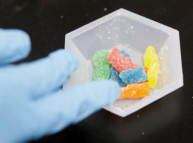 Edible marijuana samples are set aside for evaluation at Cannalysis, a cannabis testing laboratory, in Santa Ana, Calif., on Aug. 22, 2018. THE CANADIAN PRESS/AP, Chris Carlson