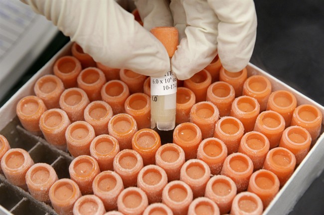 A researcher pulls a frozen vial of human embryonic stem cells at the University of Michigan Center for Human Embryonic Stem Cell Research Laboratory in Ann Arbor, Mich., in this Oct. 22, 2008 file photo. A global organization of scientists has released updated guidelines for research into stem cells, the so-called ???holy grail??? of regenerative medicine. THE CANADIAN PRESS/AP/Paul Sancya