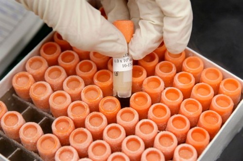 A researcher pulls a frozen vial of human embryonic stem cells at the University of Michigan Center for Human Embryonic Stem Cell Research Laboratory in Ann Arbor, Mich., in this Oct. 22, 2008 file photo. A global organization of scientists has released updated guidelines for research into stem cells, the so-called ???holy grail??? of regenerative medicine. THE CANADIAN PRESS/AP/Paul Sancya