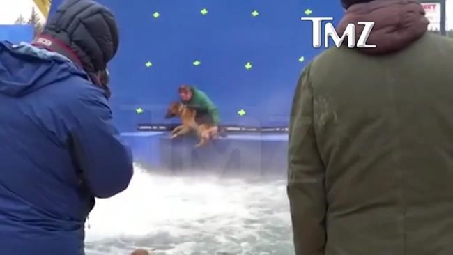 A dog appears to be forced into turbulent water during the filming of