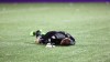 Toronto FC goalkeeper Clint Irwin lies on the ground in an MLS soccer game against Orlando City SC in Orlando, Fla., on June 25, 2016. Toronto FC goalkeeper Clint Irwin, forced out of Saturday's game in Orlando with a leg injury, has returned to Toronto for medical evaluation.A club spokesman said Monday that Irwin was slated to have a scan later in the day. THE CANADIAN PRESS/AP, Orlando Sentinel - Ricardo Ramirez Buxeda *MANDATORY CREDIT*