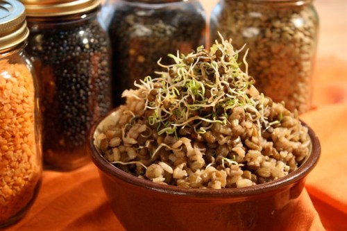 Brown rice and lentils. THE CANADIAN PRESS/HO