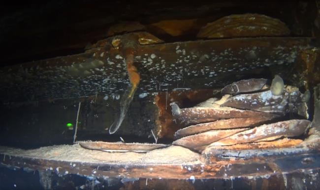 Flatware are seen on shelving in the interior of the HMS Terror shipwreck, in an undated handout still image taken from video footage, in Terror Bay, Nunavut. THE CANADIAN PRESS/HO-Parks Canada, *MANDATORY CREDIT*