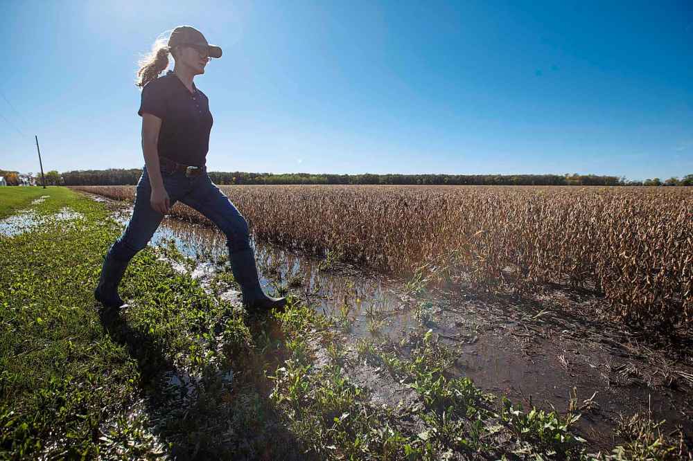 MIKE DEAL / WINNIPEG FREE PRESS
Fiona Jochum walks alongside one of her families soybean fields in the area of St. Francois Xavier, MB, that has been flooded with water from last weekend's storm.
