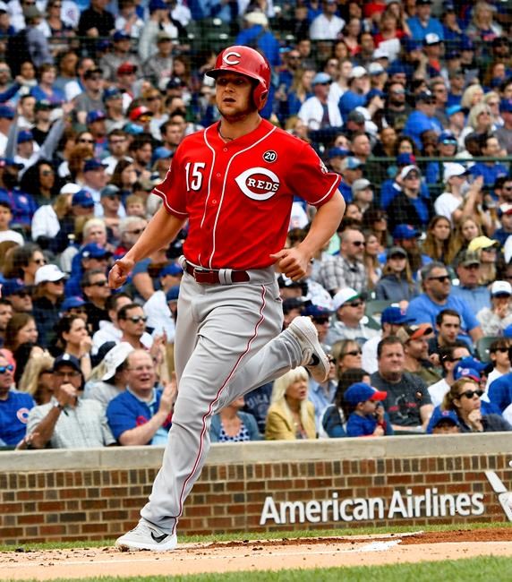 Cincinnati Reds' Nick Senzel (15) scores during the first inning of a baseball game against the Chicago Cubs Sunday, May 26, 2019, in Chicago. (AP Photo/Matt Marton)