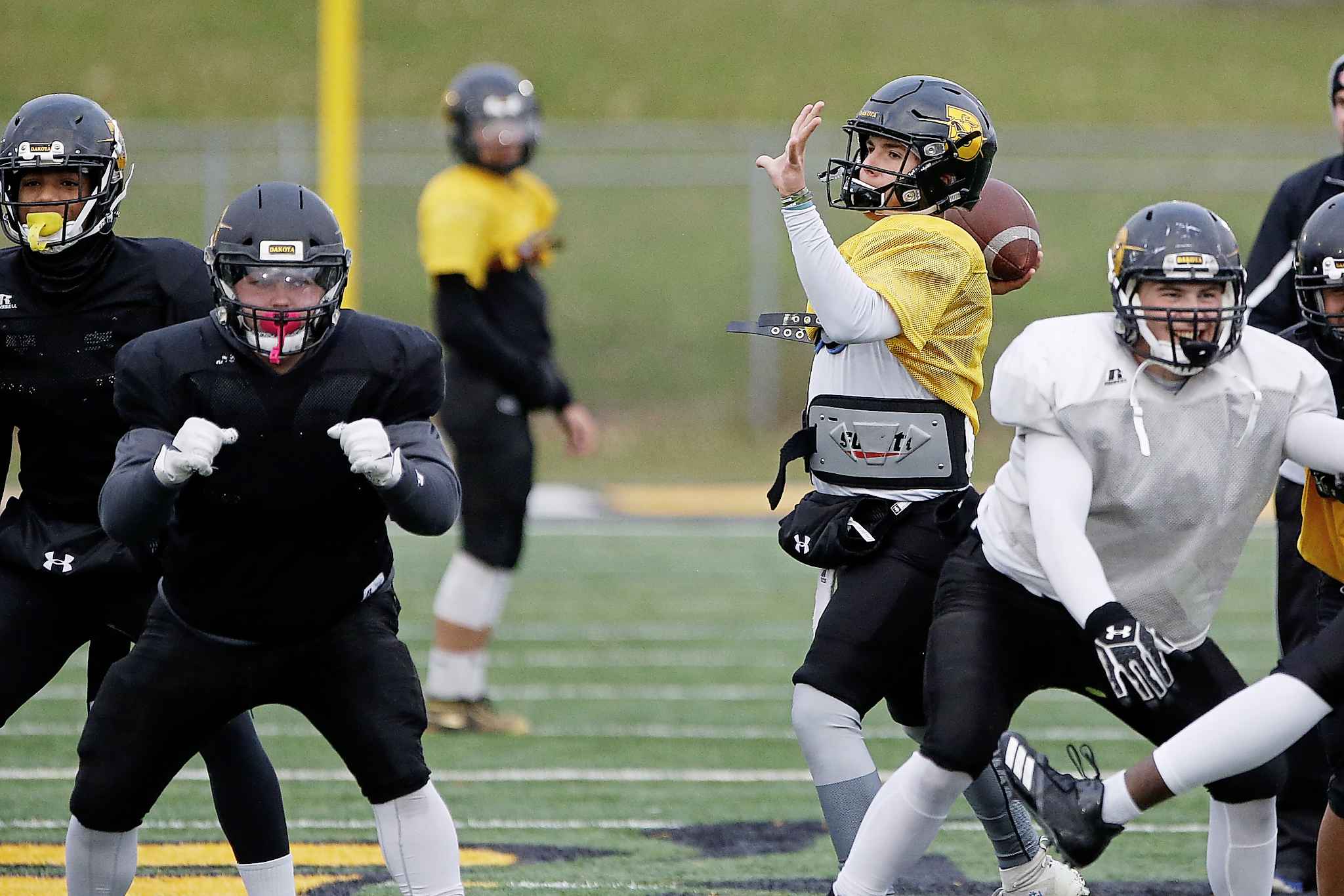 New kid on the field Winnipeg Free Press