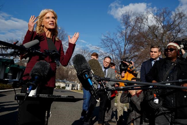 White House senior adviser Kellyanne Conway talks with reporters outside the White House, Tuesday, Jan. 8, 2019, in Washington. (AP Photo/ Evan Vucci)