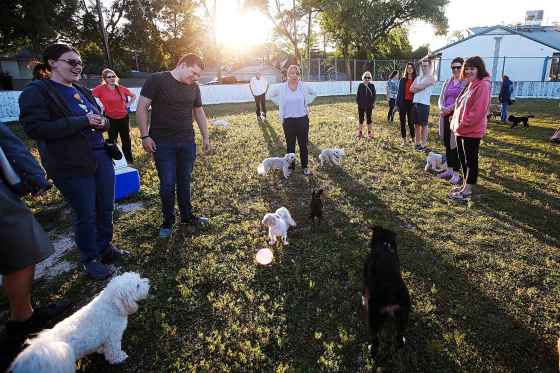 JOHN WOODS / WINNIPEG FREE PRESSJanelle McLeod, a dog trainer, centre, works with owners and their dogs at Riverview Community Centre in Winnipeg Tuesday.