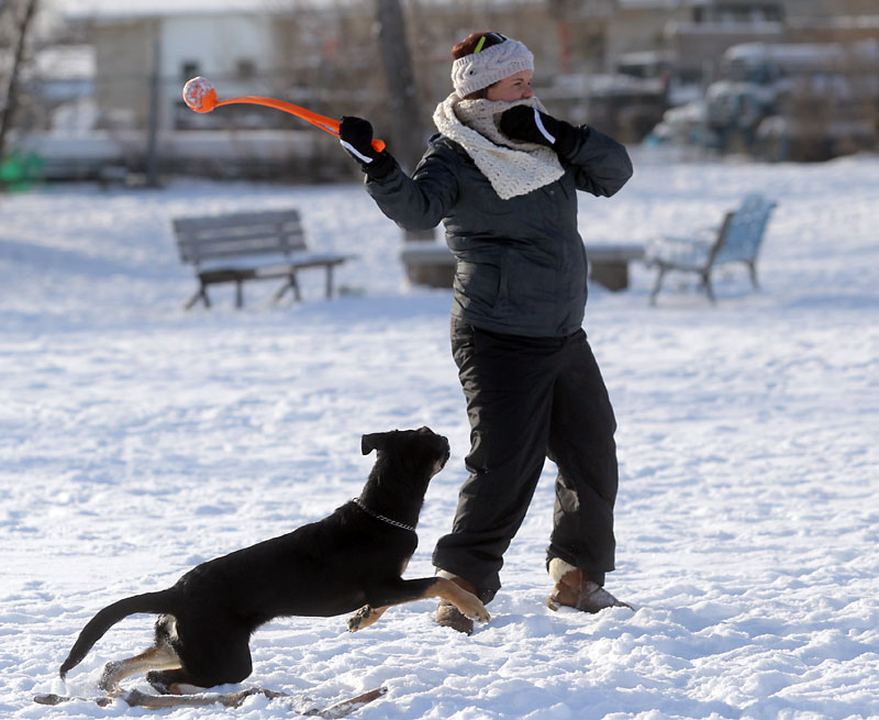 Downtown to get offleash dog park Winnipeg Free Press