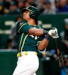 Oakland Athletics designated hitter Khris Davis hits a grand slam off Nippon Ham Fighters pitcher Naoya Ishikawa in the ninth inning of their preseason exhibition baseball game at Tokyo Dome in Tokyo Monday, March 18, 2019. The Athletics ended a 6-6 draw. (AP Photo/Toru Takahashi)
