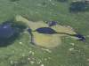 Save ELA handout
Aerial photo of an experimental lake.
